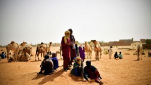 Booby-trapped corpse in Mali kills 17, injures others