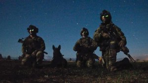 Rangers decorated for killing or capturing 1,900 terrorists during single deployment