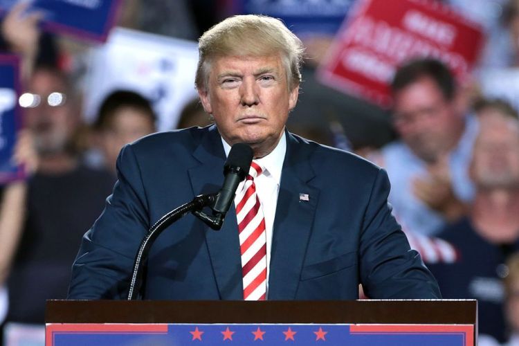 Op-Ed: Why Trump wins again in 2020
