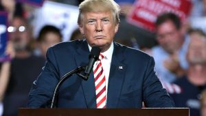 Op-Ed: Why Trump wins again in 2020