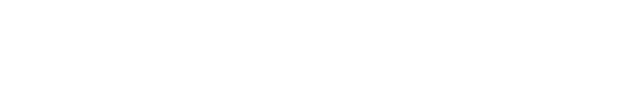 NEWSREP Financial Report