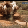 Breaking: al-Shabaab releases video of attacks (warning: graphic content)
